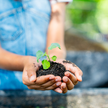 Агротехнологические классы в общеобразовательных организациях - fgospostavki.ru - Тула