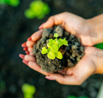 Инженерные биологические системы: междисциплинарное образование в школах - fgospostavki.ru - Тула