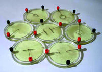 Демонстрационный комплект «Силовые линии электрического поля разных систем зарядов» - fgospostavki.ru - Тула