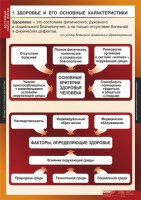 Комплект таблиц. ОБЖ. Здоровый образ жизни. - fgospostavki.ru - Тула