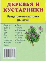 Раздаточные карточки "Деревья и кустарники" - fgospostavki.ru - Тула