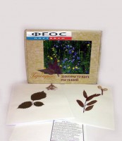 Гербарий "Дикорастущие растения" (28 видов) - fgospostavki.ru - Тула