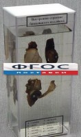Влажный препарат "Внутреннее строение брюхоногого моллюска" - fgospostavki.ru - Тула