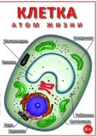 DVD "Клетка - "атом жизни" - fgospostavki.ru - Тула