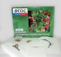 Гербарий "Основные группы растений" (52 листа) - fgospostavki.ru - Тула