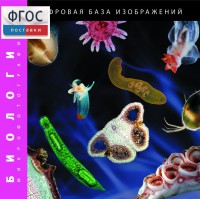 Биология. Микрофотографии. (Цифровая база изображений) - fgospostavki.ru - Тула