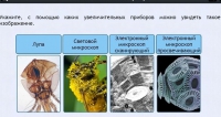 Интерактивные курсы. Биология 5 класс. Расширенный - fgospostavki.ru - Тула