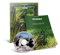 Электронное наглядное пособие «Птицы» - fgospostavki.ru - Тула