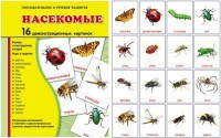Демонстрационные карточки "Насекомые" - fgospostavki.ru - Тула