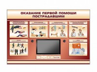 Многофункциональный интерактивный стенд-тренажер "Оказание первой помощи пострадавшим" для учащихся общеобразовательных учреждений - fgospostavki.ru - Тула