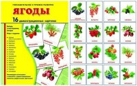 Демонстрационные карточки "Ягоды" - fgospostavki.ru - Тула