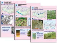 Комплект таблиц по географии "Природные зоны России" раздаточные (цветные, ламинированные, А4, 10 штук) - fgospostavki.ru - Тула