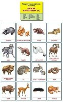 Раздаточные карточки "Дикие животные (1)" - fgospostavki.ru - Тула