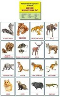 Раздаточные карточки "Дикие животные (2)" - fgospostavki.ru - Тула