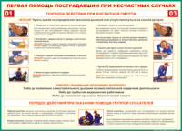 Таблица "Порядок действий при внезапной смерти" (100х140 сантиметров, винил) - fgospostavki.ru - Тула