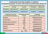 Таблица. Сравнение понятий изомер и гомолог. Функциональные группы классов органических веществ. - fgospostavki.ru - Тула