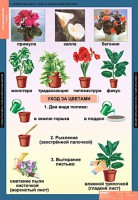 Комплект таблиц. Окружающий мир 1 класс. - fgospostavki.ru - Тула