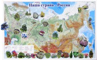 Магнитные карточки "Растения" - fgospostavki.ru - Тула