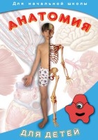 DVD "Анатомия для детей" - fgospostavki.ru - Тула
