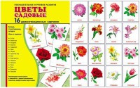 Демонстрационные карточки "Цветы садовые" - fgospostavki.ru - Тула