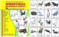 Демонстрационные карточки "Животные холодных широт" - fgospostavki.ru - Тула