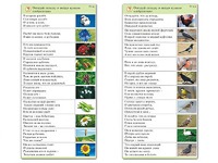 Комплект карточек (10) "Обучающий калейдоскоп. Природа" - fgospostavki.ru - Тула