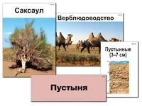 Модель-аппликация "Природные зоны России" (ламинированная) - fgospostavki.ru - Тула
