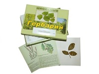 Гербарий "Дикорастущие растения" (30 видов, с иллюстрациями) - fgospostavki.ru - Тула