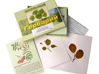 Гербарий "Систематика растений. Семейство Розоцветные" (раздаточный) - fgospostavki.ru - Тула