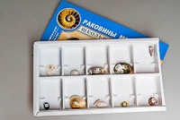 Коллекция "Раковины моллюсков" - fgospostavki.ru - Тула