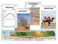 Модель-аппликация "Природные зоны" - fgospostavki.ru - Тула