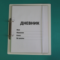 Дневник школьника (с полным набором карточек) - fgospostavki.ru - Тула
