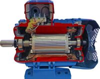 Учебная модель «Электродвигатель асинхронный в разрезе» - fgospostavki.ru - Тула