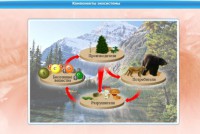Интерактивные курсы. Биология 7 класс. Базовый. - fgospostavki.ru - Тула