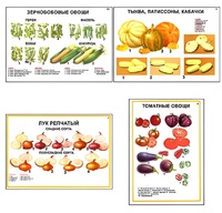 Плакаты ПРОФТЕХ "Ассортимент овощных культур" (12 пл, винил, 70х100) - fgospostavki.ru - Тула