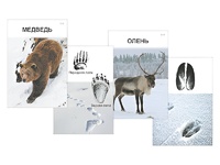 Комплект дидактических карточек "Следы на снегу" - fgospostavki.ru - Тула