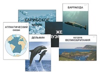 Модель-аппликация "Океаны. Знакомство" (ламинированная) - fgospostavki.ru - Тула