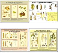 Плакаты ПРОФТЕХ "Вредители и болезни с/х культур и меры борьбы с ними" (11 пл, винил, 70х100) - fgospostavki.ru - Тула