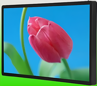 Киоск информационный настенный сенсорный 27" (вариант 1) - fgospostavki.ru - Тула