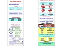 Плакаты ПРОФТЕХ "Классификации и виды мяса" (4 пл, винил, 70х100) - fgospostavki.ru - Тула