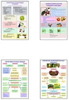 Плакаты ПРОФТЕХ "Классификация овощей и переработка" (8 пл, винил, 70х100) - fgospostavki.ru - Тула