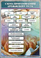 Стенд "Схема приготовления дрожжевого теста" - fgospostavki.ru - Тула