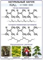 Комплект демонстрационных таблиц по химии "Полимеры" (комплект 12 таблиц) - fgospostavki.ru - Тула