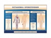 Электрифицированный стенд-тренажер "Остановка кровотечения" - fgospostavki.ru - Тула