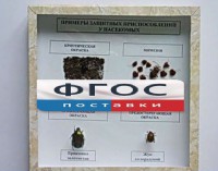 Коллекция энтомологическая "Примеры защитных приспособлений у насекомых" - fgospostavki.ru - Тула