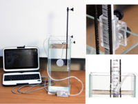 Набор демонстрационный «Гидростатика и плавание тел» - fgospostavki.ru - Тула