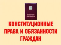 Комплект плакатов "Конституционные права и обязанности граждан" - fgospostavki.ru - Тула