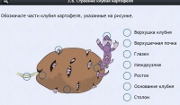 Интерактивные курсы. Биология 6 класс. Расширенный - fgospostavki.ru - Тула