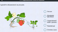 Интерактивные курсы. Биология 7 класс. Расширенный. - fgospostavki.ru - Тула