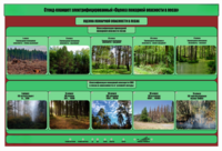 Стенд-планшет электрифицированный «Оценка пожарной опасности в лесах»  - fgospostavki.ru - Тула